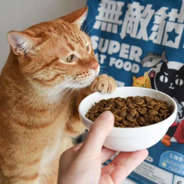 【ParkCat 無敵貓糧】大洋鮮極魚6kg(貓飼料、貓糧)