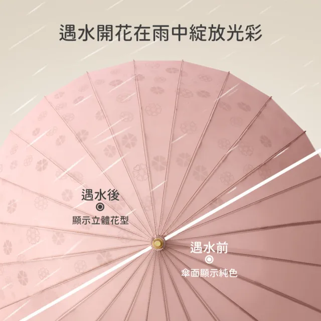 【Rainbow Valley】24骨抗風大傘面雙人長柄自動雨傘