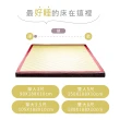 【藤原傢俬】雙人5尺冬夏兩用護背防螨抗菌10 cm彈簧床墊-硬