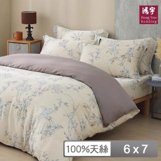 【HongYew 鴻宇】60支100%天絲 兩用被套-朱蒂思(雙人)
