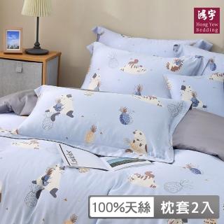 【HongYew 鴻宇】60支100%天絲 歐式壓框薄枕套-喵喵裡歐(2入)
