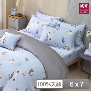 【HongYew 鴻宇】60支100%天絲 薄被套-喵喵裡歐(雙人)