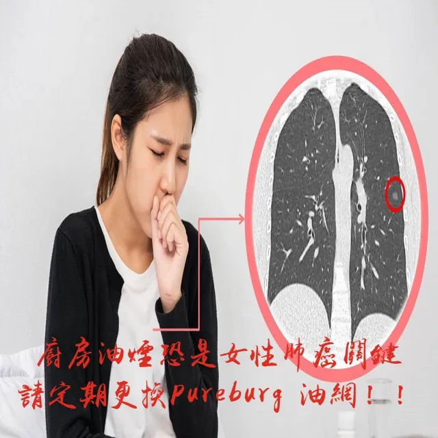 【適用 Bosch 博世 倒T式 抽油煙機】倒T式 抽油煙機 油網濾網 1入(DWW09E150i)