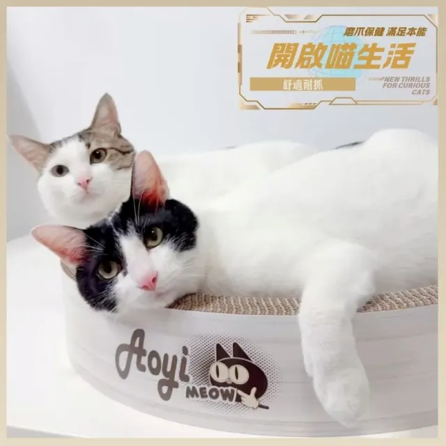 【AOYI】100%MIT（禮盒裝XL）高密度瓦楞紙貓窩貓抓板(台灣製造 耐抓不掉屑 超大尺寸 交換禮物)