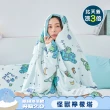 【Great Living 格蕾寢飾】迪士尼正版授權 眠綿冰涼被枕頭組(怪獸電力公司/小熊維尼/La Belle/玻尿酸涼被)