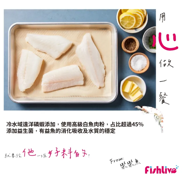 【FishLive 樂樂魚】#13 能量餅片 大顆粒 緩沉 960ml(底棲 鯰科 異形 魚飼料 蝦飼料)
