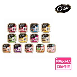 【Cesar 西莎】經典風味餐盒 100g*24入(狗罐/犬餐盒/熟齡犬/全齡適用)