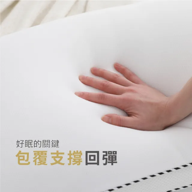 【Darphia 朵法亞】速寄|銀粒子棉眠枕 贈洗衣袋 支撐包覆 抗菌防蟎 透氣枕
