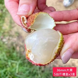【荔莊果園】高雄大樹剪枝玉荷包36mm特級大果禮盒x3盒(5斤/盒 冷藏宅配 產地直送)