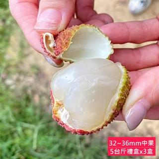 【荔莊果園】高雄大樹剪枝玉荷包32mm-36mm特級中果禮盒x3盒(5斤/盒 冷藏宅配 產地直送)