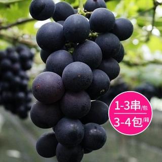 【水果達人】臺灣一級巨峰葡萄禮盒3斤x1箱(約3-4包)(1-4串/包)