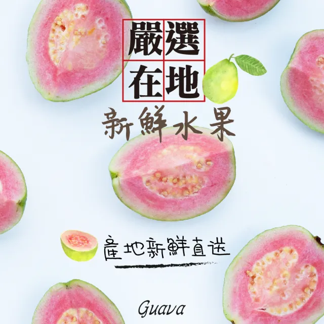 【甜園】紅心芭樂乾120gx6包(★無添加糖★低熱量果乾★低負擔零食★無糖果乾推薦)