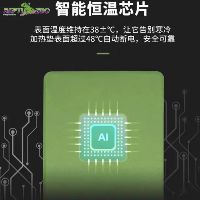 【REPTIZOO】兩棲爬蟲 防水豪華加熱墊 20W 恆溫保暖過冬必備(快速發熱 溫度比一般加熱墊高REPTI ZOO)