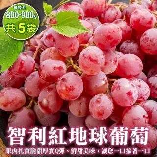 【WANG 蔬果】智利紅地球葡萄800-900gx5袋(800-900g/袋 空運直送)