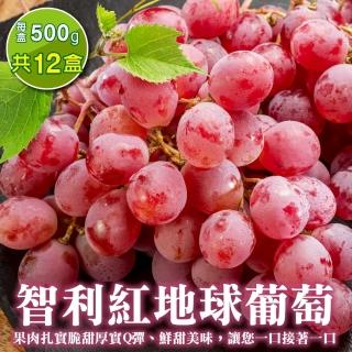 【WANG 蔬果】智利紅地球葡萄500gx12盒(500g/盒 空運直送)
