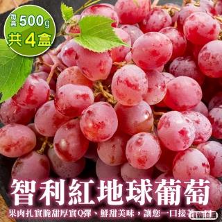 【WANG 蔬果】智利紅地球葡萄500gx4盒(500g/盒 空運直送)
