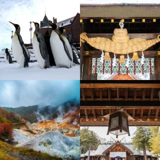 【吉航旅遊】精緻假期-北海道大雪山旭嶽纜車洞爺湖花火節銀河流星瀑布富良野花樂園三大蟹賞楓五日-長榮航空