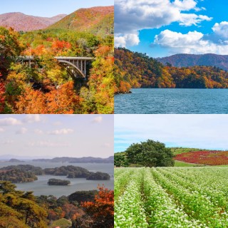 【吉航旅遊】精緻假期秋風紅葉奧入瀨溪塔崖大內宿古街豬苗代湖五色沼鳴子峽七日-星宇、長榮航空