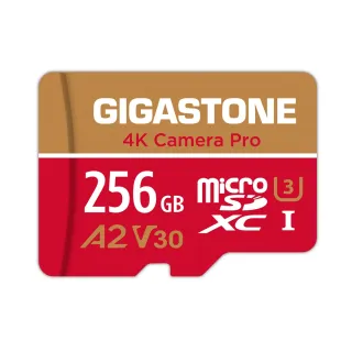 【GIGASTONE 立達】4K Camera Pro microSDXC UHS-Ⅰ U3 A2V30 256GB攝影高速記憶卡(支援GoPro/DJI)