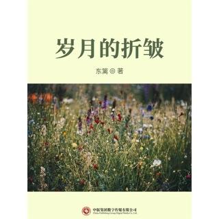 【momoBOOK】歲月的折皺 簡體書(電子書)