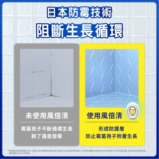 【風倍清】浴廁用防霉防臭劑/芳香劑 5入裝 清潔 小幫手(柔和花香/清新柑橘)