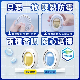 【風倍清】浴廁用防霉防臭劑/芳香劑 5入裝 清潔 小幫手(柔和花香/清新柑橘)
