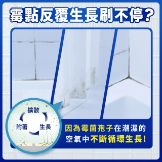 【風倍清】浴廁用防霉防臭劑/芳香劑 1入裝(柔和花香/清新柑橘)