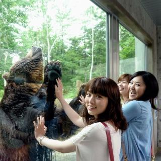 【喜鴻假期】【熊熊愛上北海道５日】熊山遊園車、忍者魁花秀、富良野花海、浪漫小樽、螃蟹美人湯