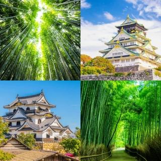 【吉航旅遊】精緻假期-大阪京都環球影城春日大社清水寺國產牛燒烤吃到飽五日-名古屋進出-星宇航空