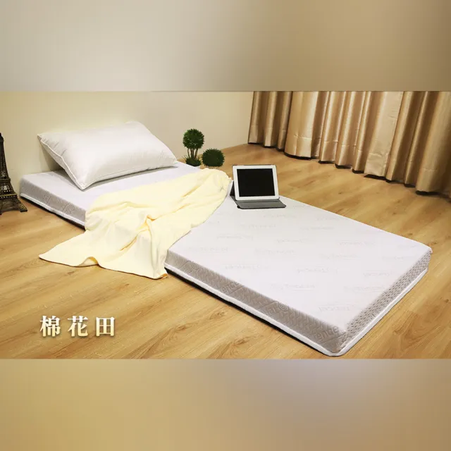 【LOHAS】天絲零負擔記憶床墊 加厚10公分 單人加大3.5尺(釋壓.支撐 雙重功效)
