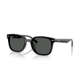 【RayBan 雷朋】大鏡片 膠框 太陽眼鏡 墨鏡(RB4461D 601/87、 659373)