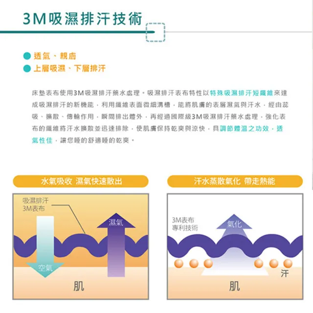【藤原傢俬】3M吸濕排汗硬式獨立筒床墊(雙人加大6尺3C)
