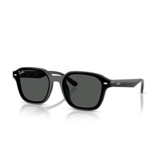【RayBan 雷朋】大鏡片 膠框 太陽眼鏡 墨鏡(RB4458D 601/87、 645087)