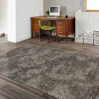 【范登伯格】比利時舒柔亮澤絲質地毯(100x140cm)