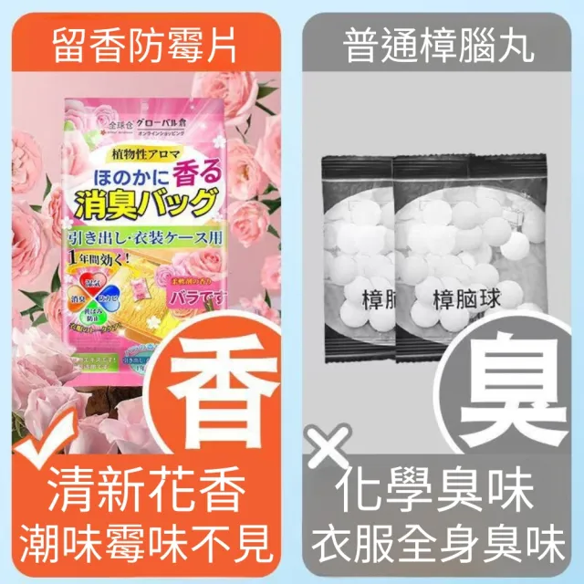 日本樟腦丸-10入組(芳香 防蟲 樟腦丸 防蟲丸)