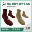 【WOAWOA】2入組 極致速乾美麗諾登山羊毛襪-中筒(100%防縮美麗諾羊毛紗 耐磨襪 登山襪 保暖襪 除臭襪 厚襪)