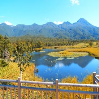 【喜鴻假期】【追楓迎秋北海道５日】知床遊覽船、黑嶽楓紅纜車、熱氣球、旭山動物園、螃蟹美人湯