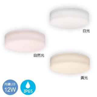 【華燈市】LED 12W 圓型霧面 吸壁二用燈