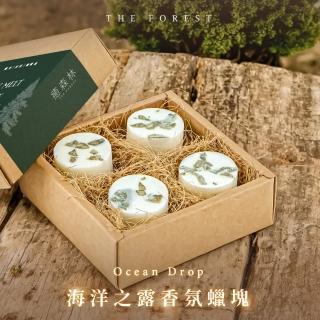 【The Forest 癒森林】海洋之露香氛蠟塊4入組23g*4 海鹽+鼠尾草+葡萄柚(香氛蠟燭/居家香氛/香氛蠟塊)