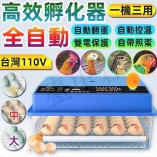 【巧可】48枚孵蛋器 孵化機 110V全自動孵蛋機器(雙電源孵化箱 雞鴨鵝鴿子孵化器)
