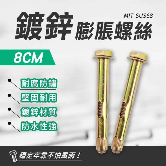 【智殿】八公分鍍鋅膨脹螺絲 膨脹管 自攻螺絲 建築壁虎 六角內膨脹螺絲(鍍鋅螺絲 外牙壁虎 165-SUSS8)