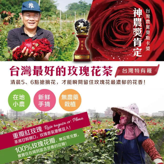 【慢悠仙】神農獎玫瑰花茶 20g 玻璃罐裝 *3(花瓣/可沖40壺/SGS無農藥/伴手禮/無咖啡因無糖/花草茶養生茶)