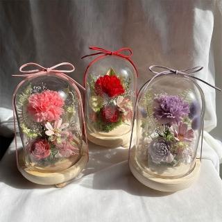 【OSTARA FLORIST 奧斯塔拉花藝】永生康乃馨玻璃罩-紅/紫/粉(永生花、康乃馨、母親節、女性長輩、居家佈置)