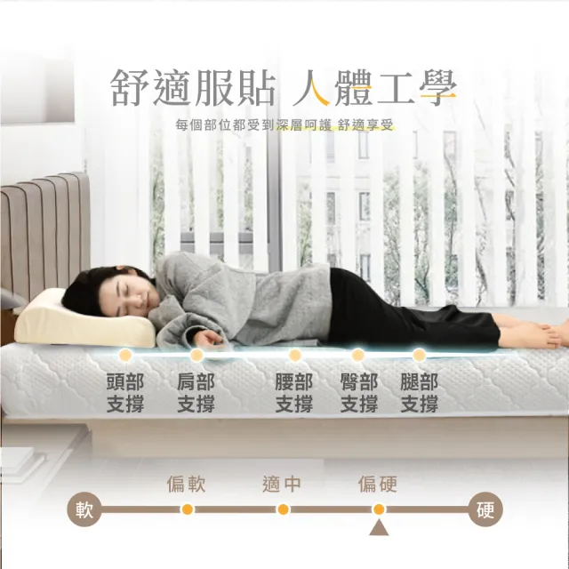 【IHouse】天絲防蟎護脊 冬夏兩用彈簧床墊(雙人5尺/偏硬)