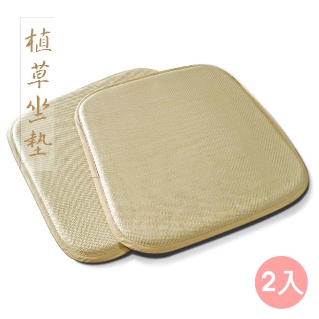 【范登伯格】植草雙面編織透氣單人坐墊(50x50cm/二入組)