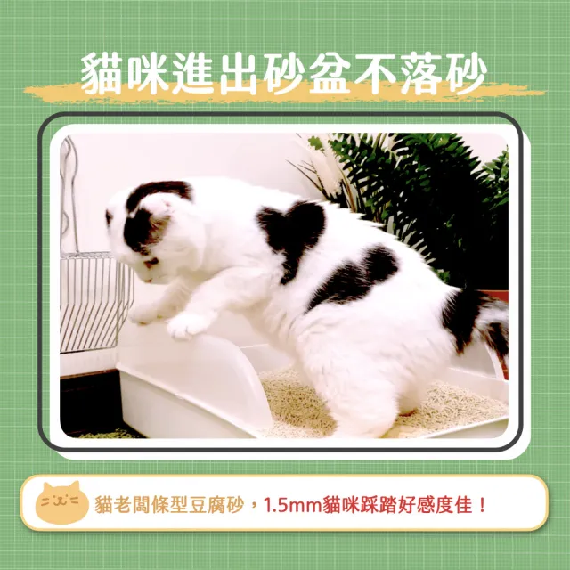 【貓老闆Bosscat】1.5mm條型公寓砂 8包組 2.4公斤／包(豆腐貓砂、1.5mm條型豆腐砂、豆腐砂)