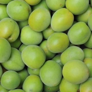【RealShop】信義鄉特級大果國產青梅 約3斤/1.8kg±10%盒裝(真食材本舖)