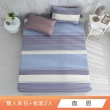 【HongYew 鴻宇】台灣製100%精梳棉 床包枕套組 雙人(多款)