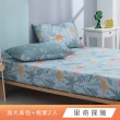 【HongYew 鴻宇】台灣製100%精梳棉 床包枕套組 加大(多款)