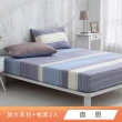 【HongYew 鴻宇】台灣製100%精梳棉 床包枕套組 加大(多款)